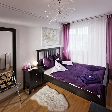 麦克斯航空别墅&公寓旅馆 伯尔尼