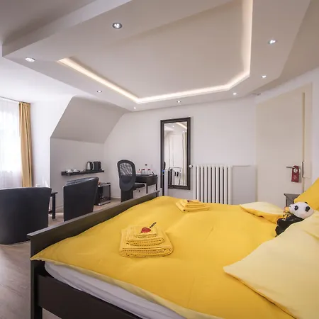 麦克斯航空别墅&公寓旅馆 宾馆 3*