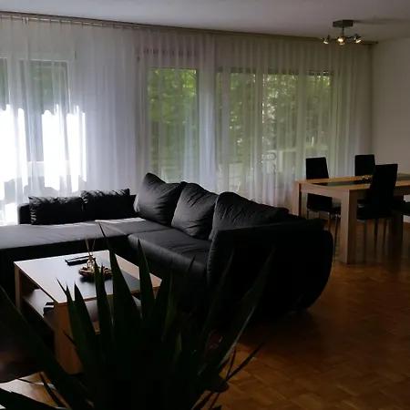 宾馆 麦克斯航空别墅&公寓旅馆 3*