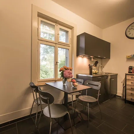 宾馆 麦克斯航空别墅&公寓旅馆 3*