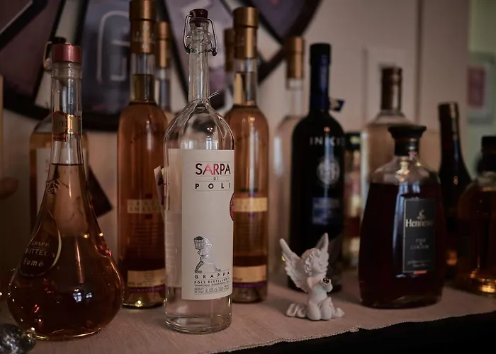 Max Aviation & Penzion Bern