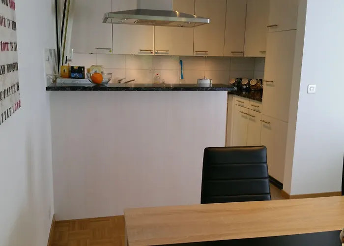 Max Aviation & Penzion Bern