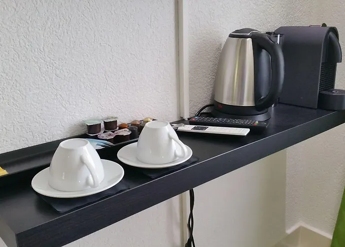 Max Aviation & Penzion