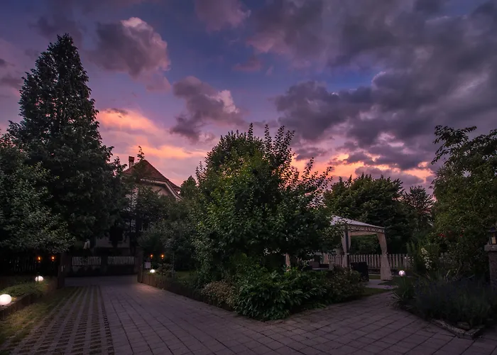 Max Aviation & Penzion 3*