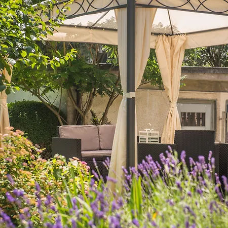 Max Aviation & Zajazd Berno