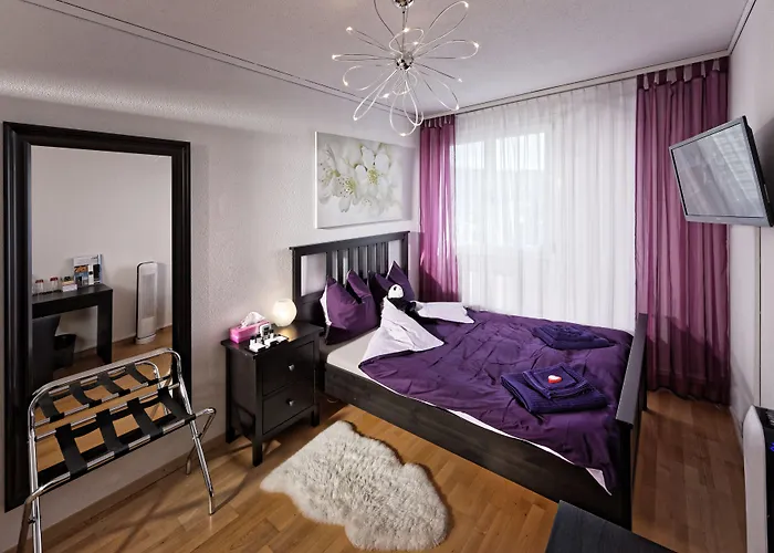 麦克斯航空别墅&公寓旅馆 伯尔尼