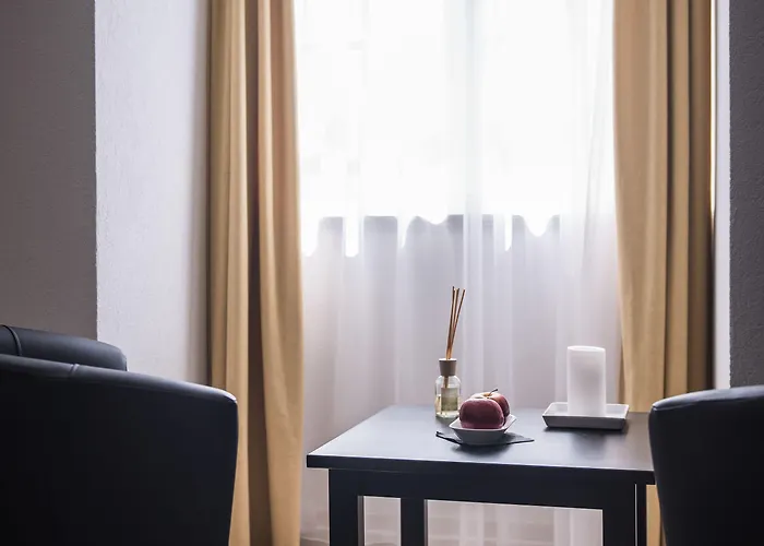 麦克斯航空别墅&公寓旅馆 伯尔尼