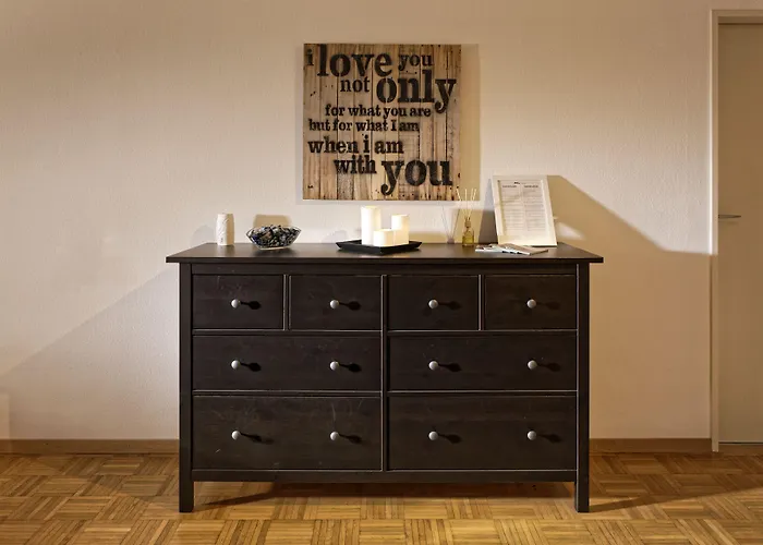 麦克斯航空别墅&公寓旅馆 3* 伯尔尼